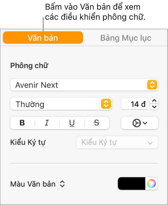 Thanh bên Định dạng với tab Văn bản được chọn và các điều khiển phông chữ để thay đổi phông chữ, cỡ chữ và thêm các kiểu ký tự.