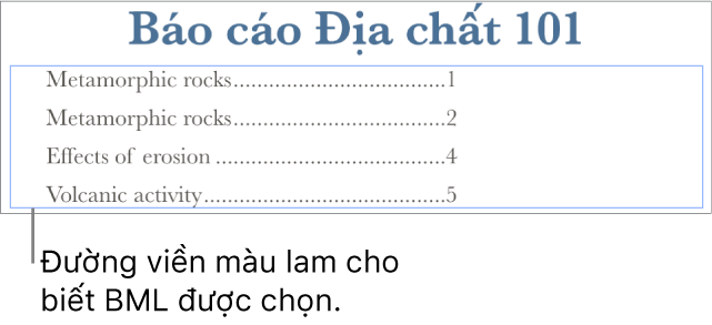 Bảng mục lục được chèn vào tài liệu. Các mục nhập hiển thị đề mục cùng với số trang.