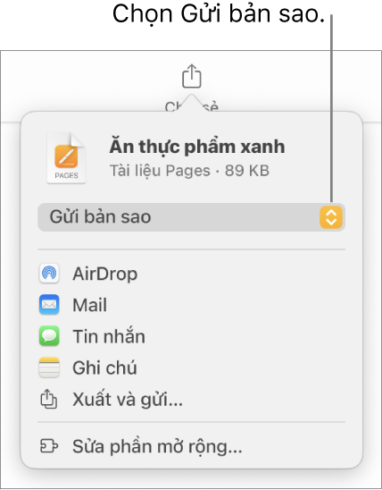 Menu Chia sẻ với Gửi bản sao được chọn ở trên cùng.