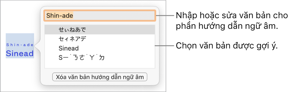 Phiên âm sẽ mở cho một từ, với các lời nhắc đến trường văn bản và văn bản được gợi ý.