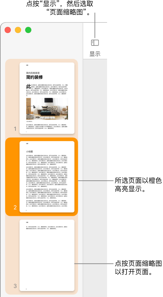 Pages 文稿窗口左侧的边栏中“页面缩略图”视图已打开，所选页面高亮标记为深橙色。