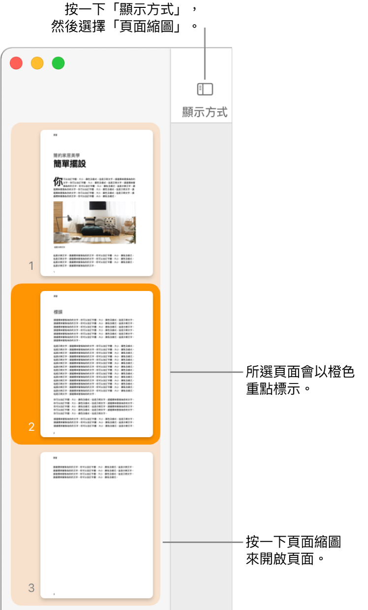 Pages 視窗左側的側邊欄中開啟了「頁面縮圖」顯示方式，所選擇的頁面以深橙色重點標示。