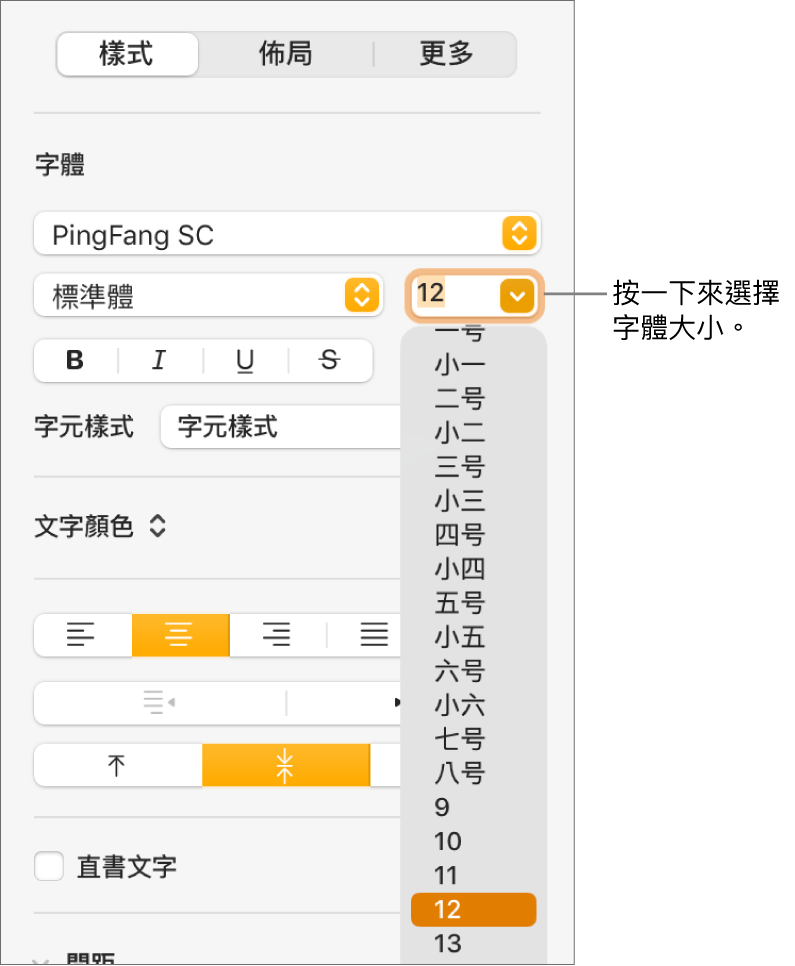 「格式」側邊欄的「樣式」區域會開啟字體大小彈出式選單。彈出式選單最上方會顯示中國大陸政府標準字體大小，下方則顯示點的大小。