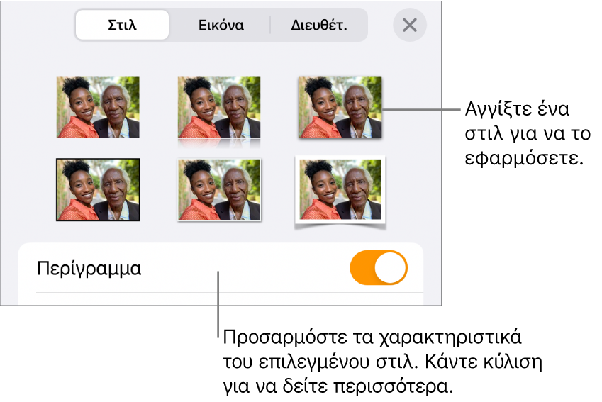 Η καρτέλα «Στιλ» με στιλ εικόνων στο πάνω μέρος και το κουμπί «Επιλογές στιλ» στο κάτω μέρος.