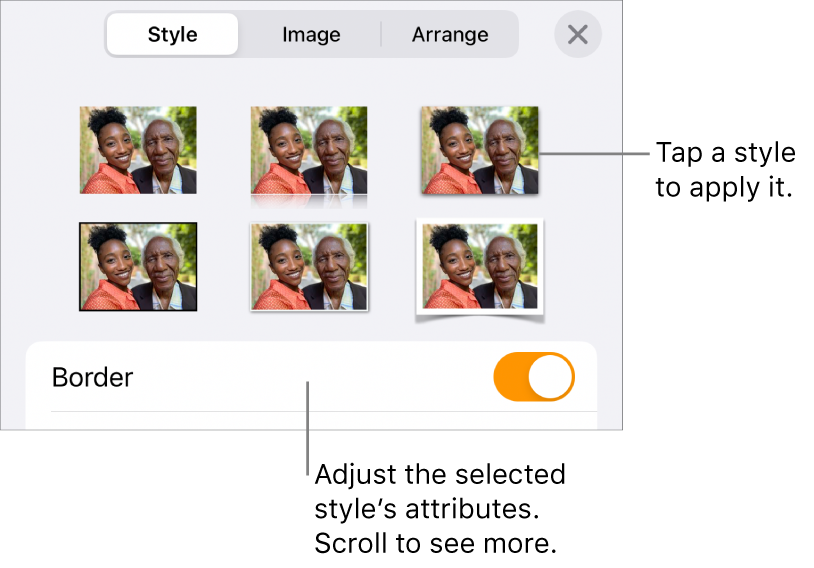 The Style tab with image styles at the top and the Style Options button at the bottom.