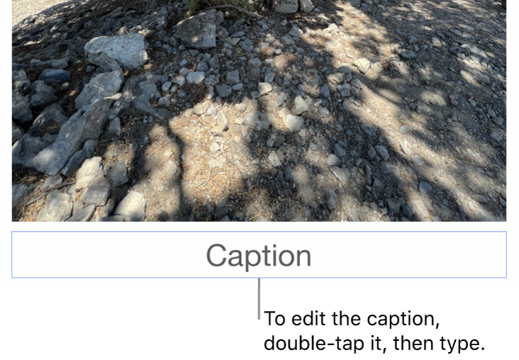 The placeholder caption, “Caption,” appears below a photo; a blue outline around the caption field shows it’s selected.