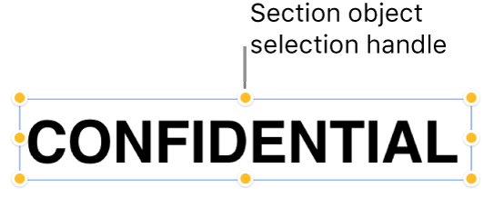 An object with selection handles.