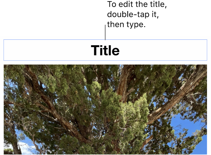 The placeholder title, “Title,” appears below a photo; a blue outline around the title field shows it’s selected.