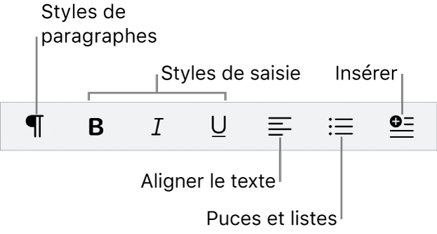 Barre des formats rapide avec des icônes pour les styles de paragraphe, les styles de saisie, l’alignement du texte, les puces et listes, ainsi que l’insertion d’éléments.