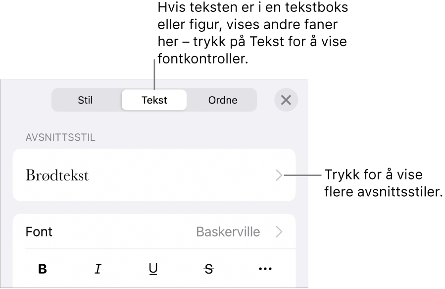 Format-menyen som viser tekstkontroller for å angi avsnitts- og tegnstiler, font, størrelse og farge.