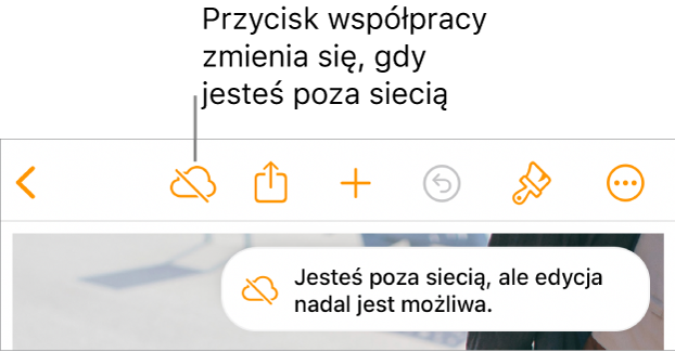 Przyciski znajdują się u góry ekranu; przycisk współpracy wyświetlany jest jako chmura przekreślona ukośną linią. Alert zawierający następującą informację: Brak połączenia z siecią, ale edycja nadal jest możliwa.