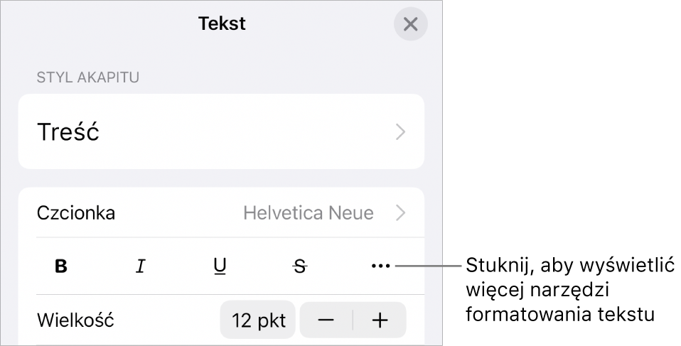 Karta Tekst w narzędziach formatowania ze wskazanym przyciskiem Więcej opcji tekstu.