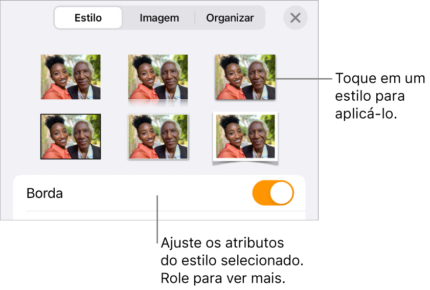 Aba Estilo com estilos de imagem na parte superior e o botão Opções de Estilo na parte inferior.