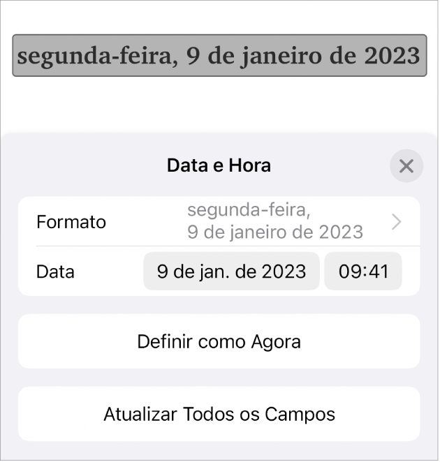 Controles de Data e Hora mostrando um menu pop-up para Formatar data e os botões Definir como Agora e Atualizar Todos os Campos.