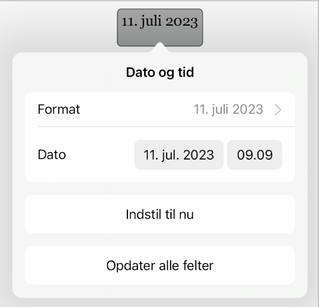 Betjeningsmuligheden Dato & tid viser en lokalmenu til datoformat samt knapperne Indstil til nu og Opdater alle felter.