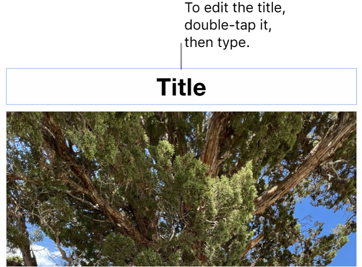 The placeholder title, “Title”, appears below a photo; a blue outline around the title field shows it’s selected.
