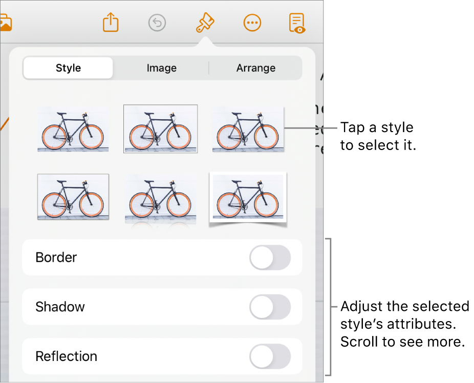 The Style tab of the Format menu with object styles at the top and controls below them to change the border, shadow, reflection, and opacity.