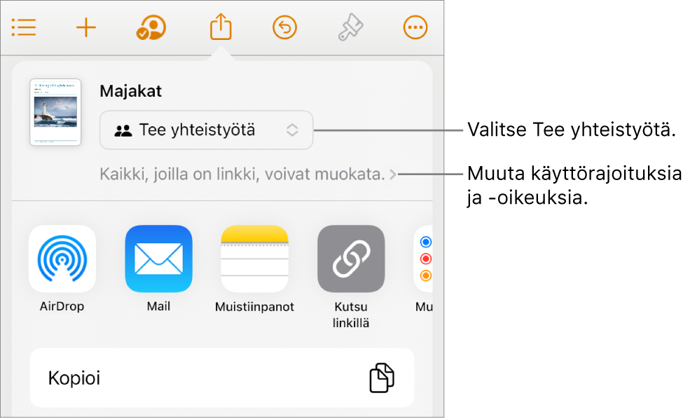 Jaa-valikko, jossa on ylhäällä valittuna Tee yhteistyötä, ja sen alla ovat käyttöoikeus- ja lupa-asetukset.