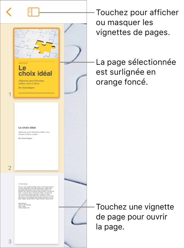 Présentation Vignettes de page à gauche de l’écran avec une page sélectionnée. Le bouton « Options de présentation » est situé au-dessus des vignettes.