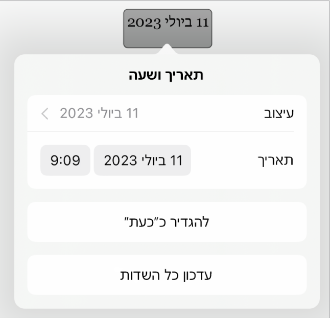 כלי הבקרה של ״תאריך ושעה״ עם תפריט קופצני של מבנה התאריך ועם הכפתורים ״קבע להיום״ ו״עדכן את כל השדות״.