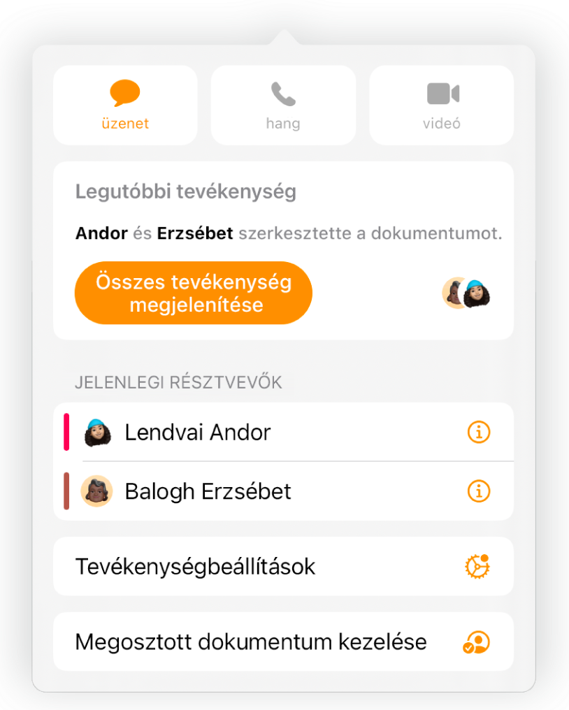 Az együttműködés menü, amelyben a dokumentumon együttműködő személyek nevei láthatók.