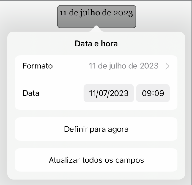 Os controlos “Data e hora” a mostrar um menu pop-up para Formatação da data e os botões “Definir para agora” e “Atualizar todos os campos”.