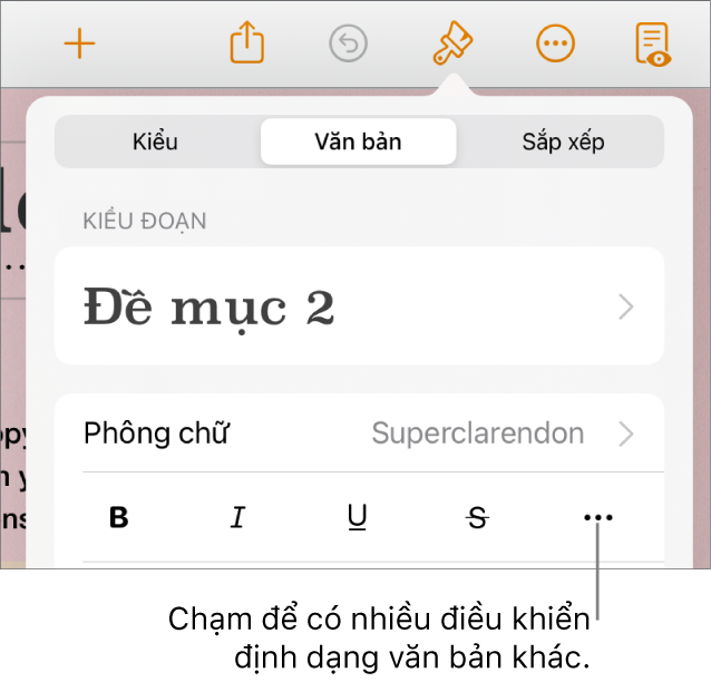 Tab Văn bản của điều khiển Định dạng, với lời nhắc đến nút Tùy chọn văn bản khác.