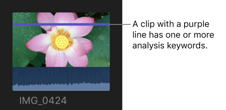 Ein Clip mit einer violetten Linie, die anzeigt, dass ein oder mehrere Analyseschlagwörter angewendet werden