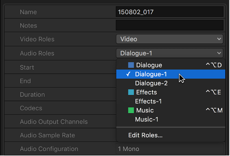 Options in the Audio Roles pop-up menu in the Info inspector