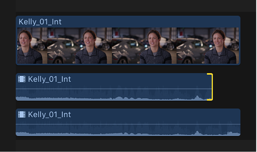 An expanded audio component in the timeline with a range of audio disabled