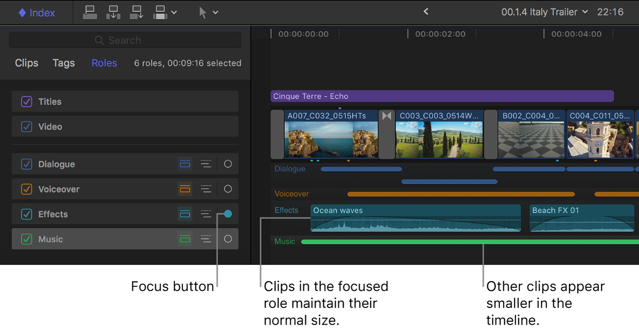 The timeline index showing the Focus button highlighted for the Effects role, and the timeline showing other audio roles minimized