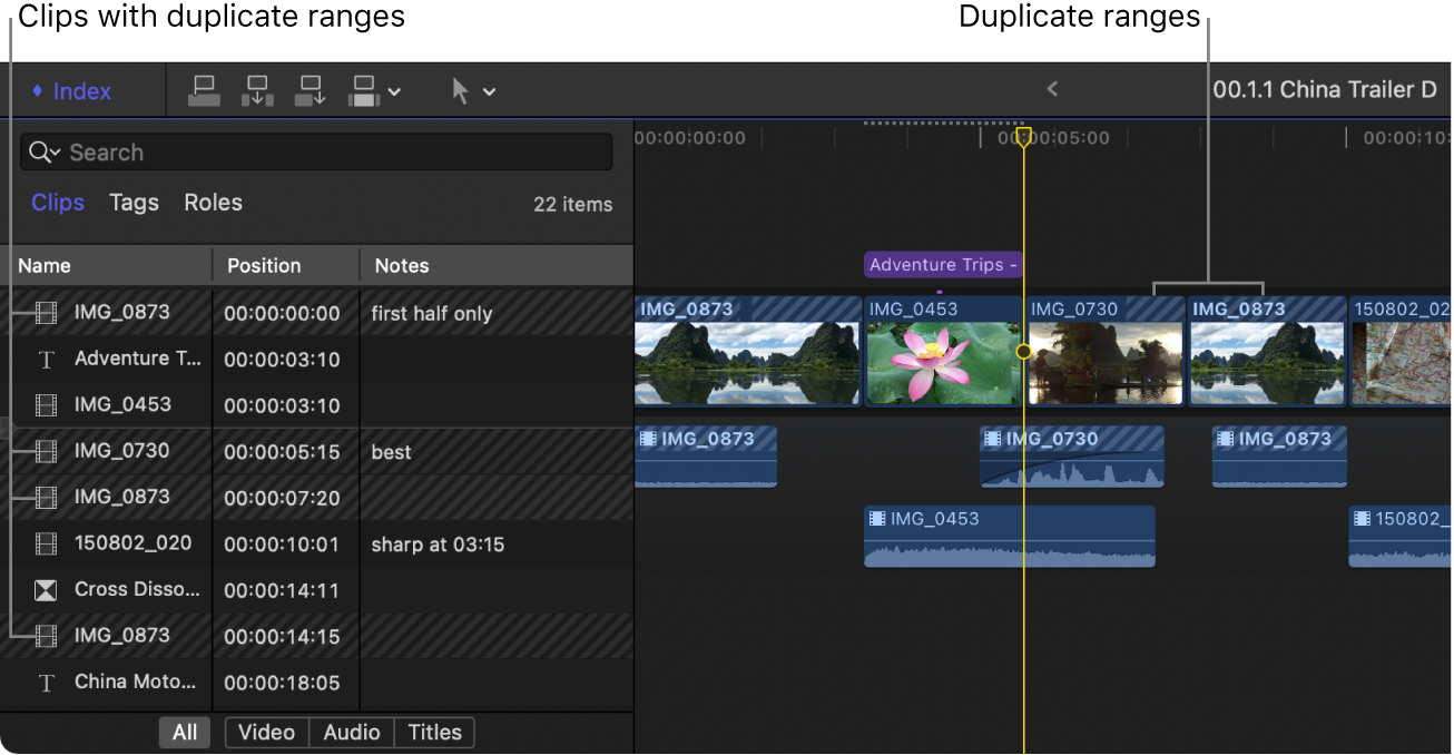 The timeline index and the timeline showing clips with duplicate ranges highlighted with diagonal lines