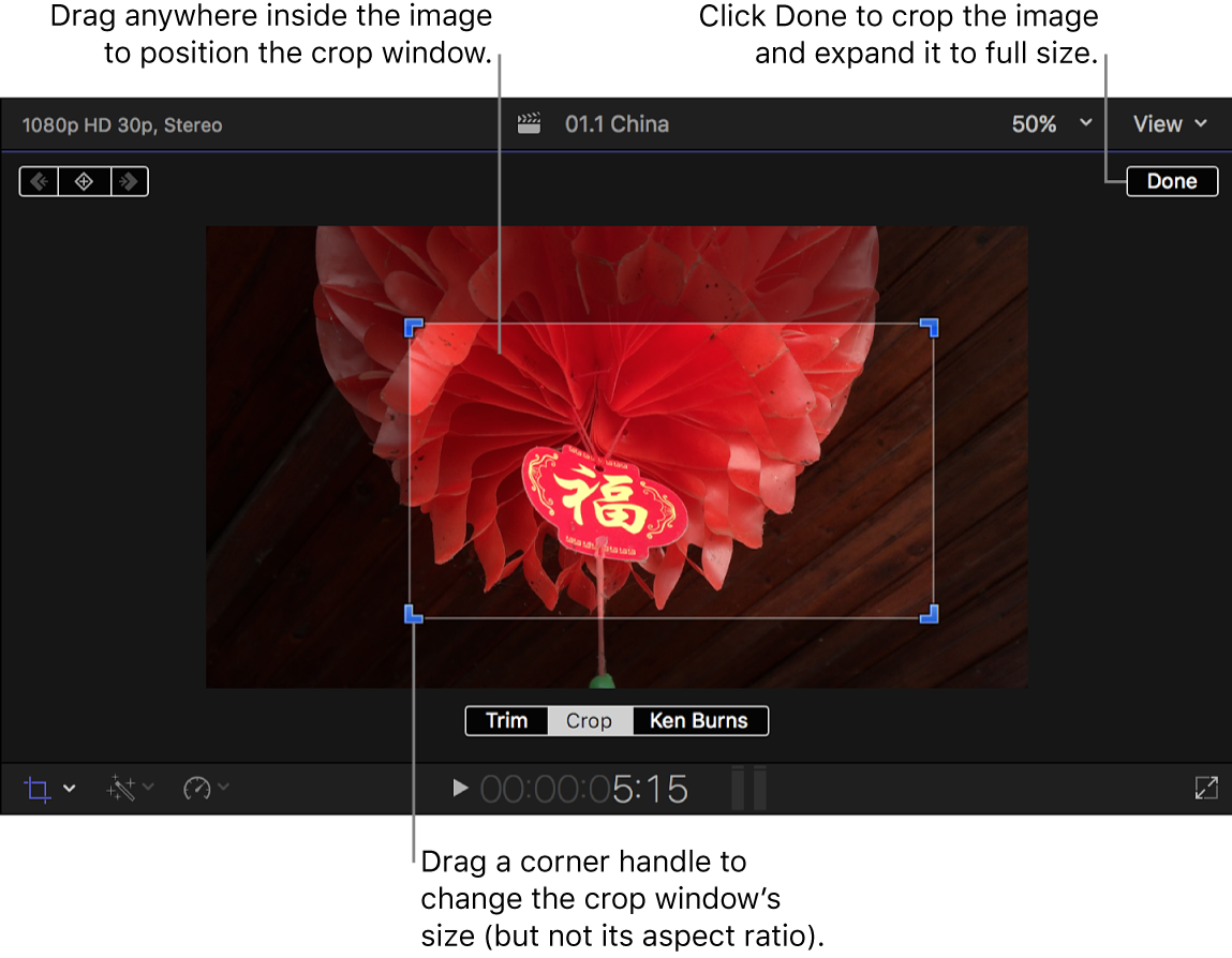 The viewer showing the Crop onscreen controls