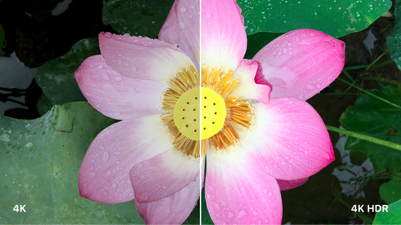 A split-screen image comparing standard 4K and 4K HDR