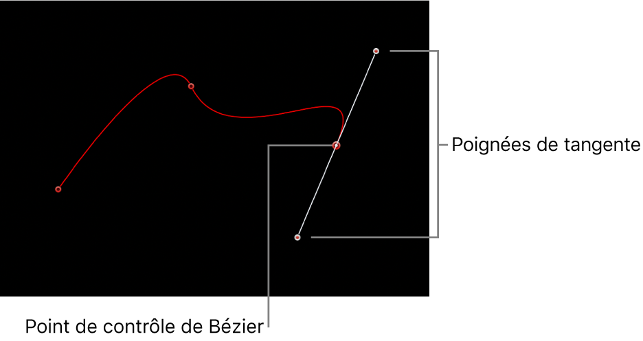 Visualiseur avec point de contrôle de Bézier accompagné de ses poignées de tangente