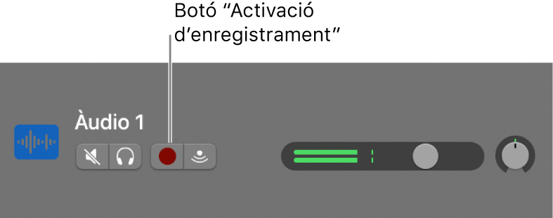 Capçalera de pista amb el botó “Activació d’enregistrament”.
