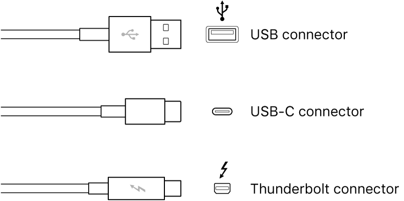 Illustration of USB and FireWire connector types.