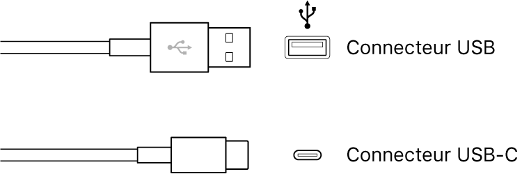 Illustration de connecteurs USB