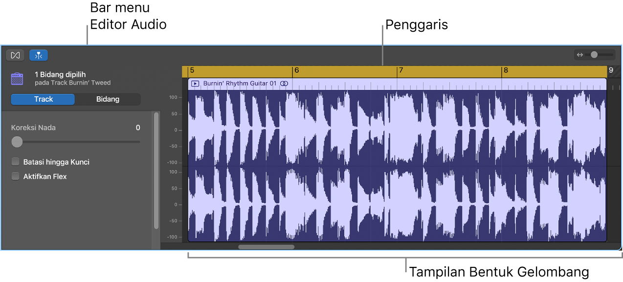 Editor Audio dengan bidang yang dipilih.
