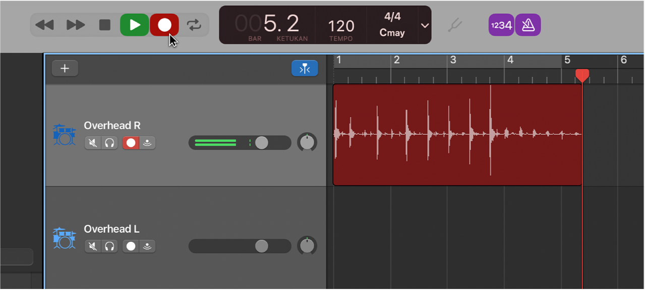 Menampilkan bidang audio yang direkam dengan warna merah di area Track.