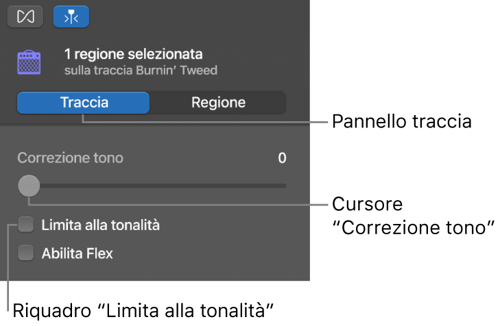 Inspector “Editor audio” in modalità Traccia, con cursore “Correzione tono” e opzione “Limita alla tonalità”.