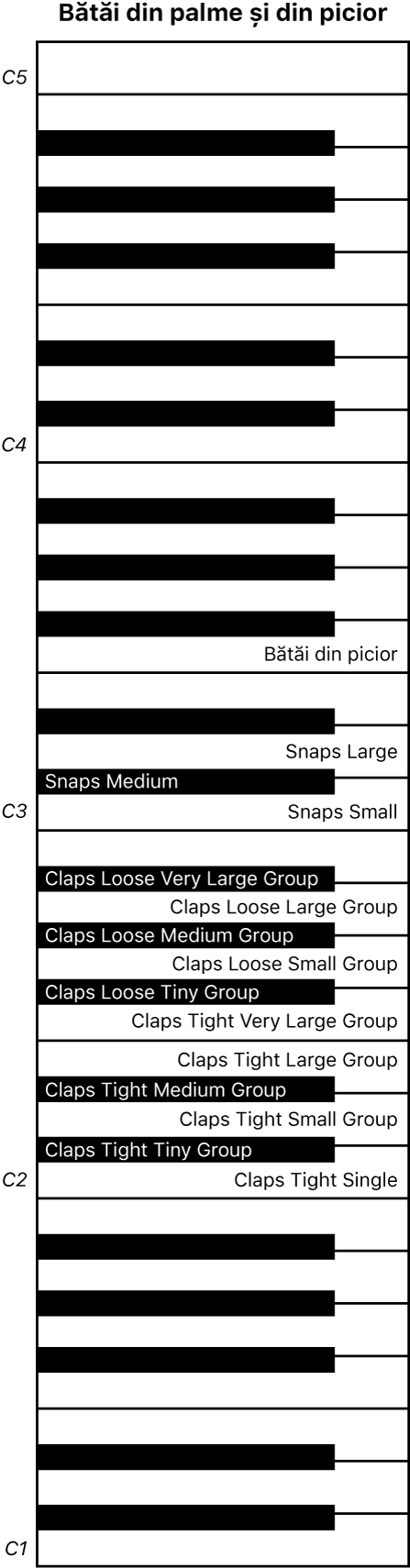 Figură. Harta claviaturii pentru interpretarea Claps and Snaps.