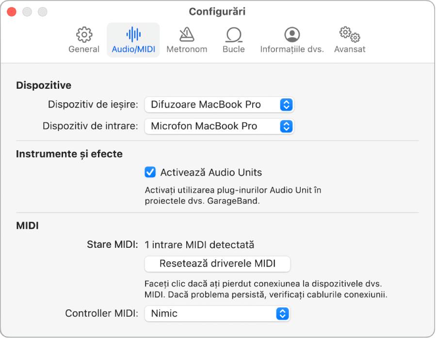 Panoul Configurări Audio/MIDI