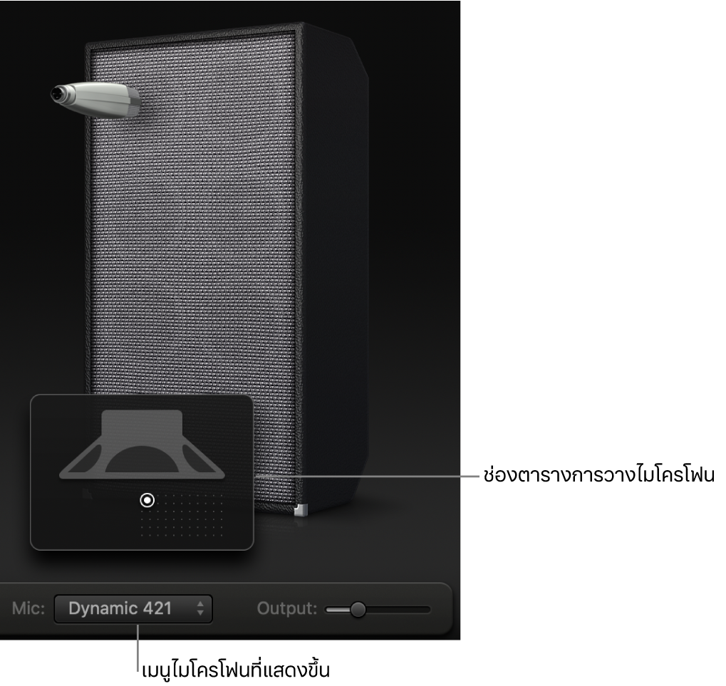 บริเวณตู้ตัวออกแบบแอมป์เบสแสดงเมนูไมโครโฟนและเส้นตารางการวางไมโครโฟน