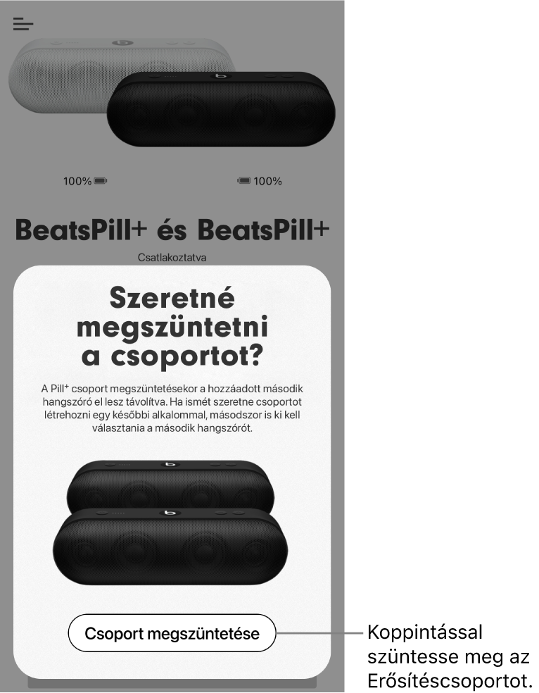 A Beats app a Csoport bontása kártyával
