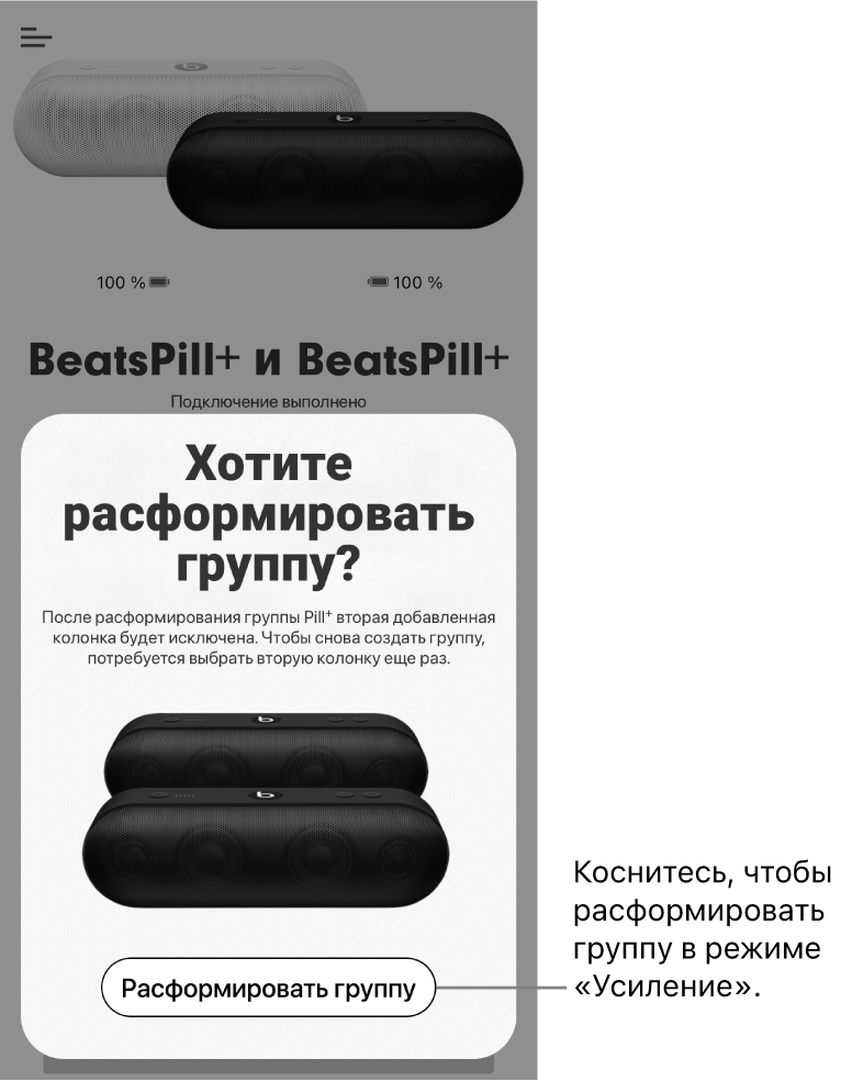 В приложении Beats отображается карточка «Расформирование группы»