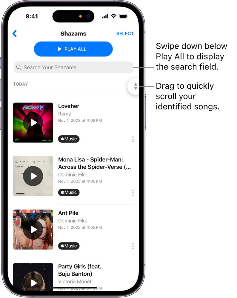 Identified songs list displaying search field and scroll control