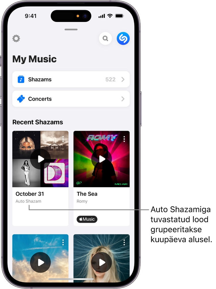 My Music (Minu muusika) kuvas näidatakse funktsiooniga Auto Shazam (Automaatne Shazam) tuvastatud lugusid.