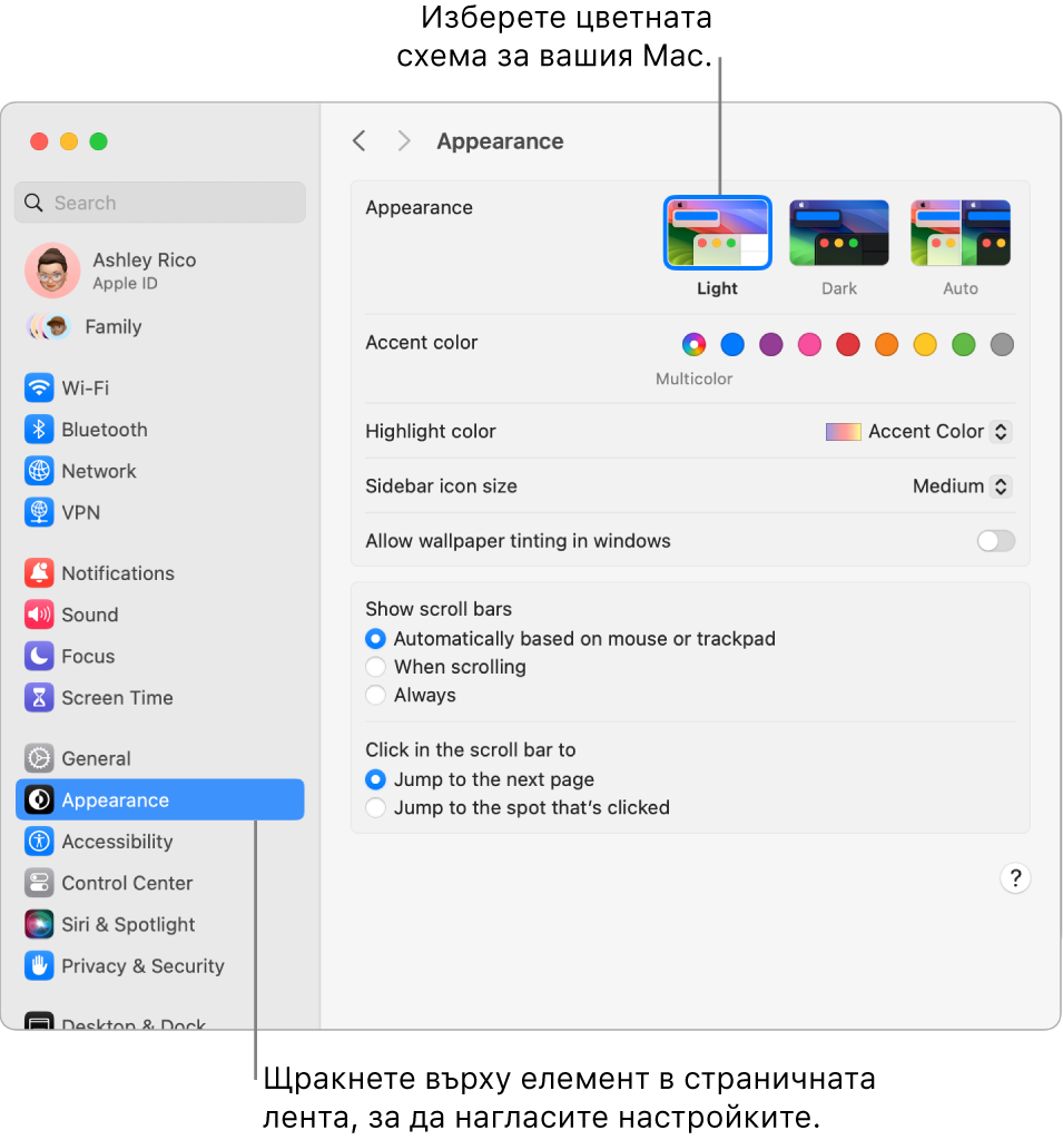 Прозорецът Appearance (Изглед) в System Settings (Системни настройки).