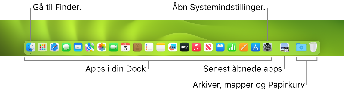 Et billede af Dock med Finder, Systemindstillinger og skillelinjen i Dock, der adskiller apps fra arkiver og mapper.